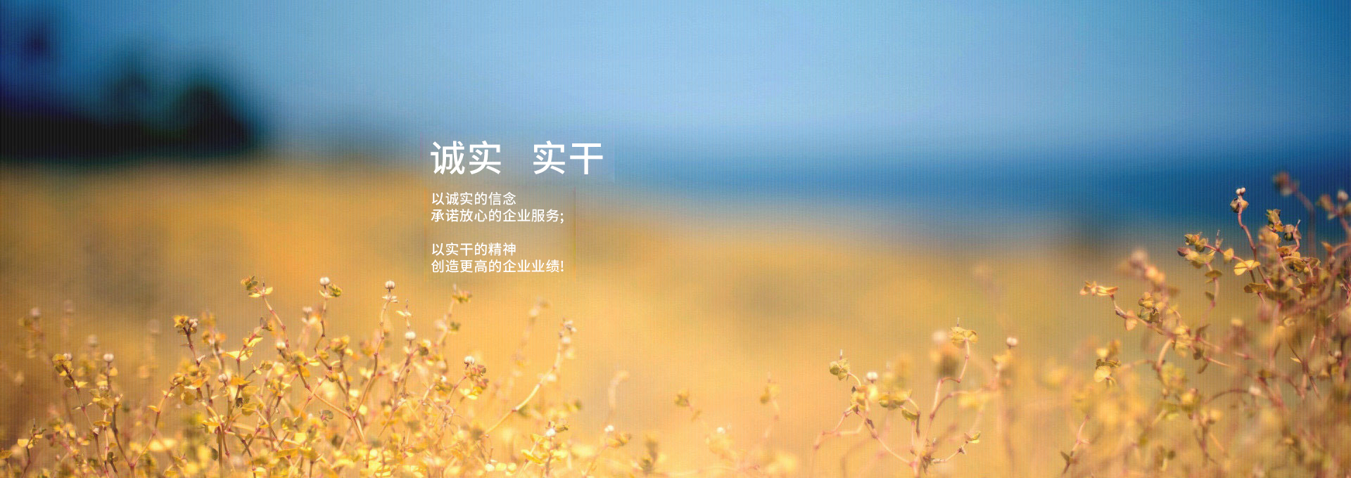 起航-實干